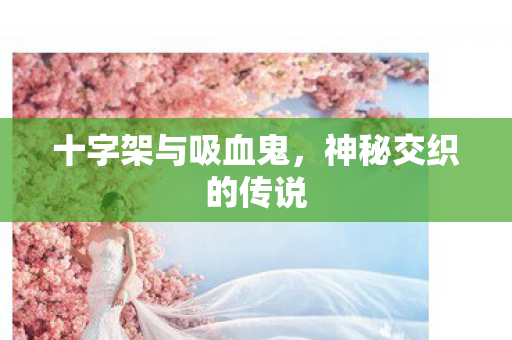 十字架与吸血鬼,神秘交织的传说 十字架与吸血鬼,神秘交织的传说