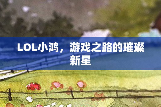 LOL小鸿,游戏之路的璀璨新星 LOL小鸿,游戏之路的璀璨新星
