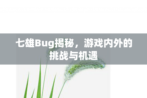 七雄Bug揭秘,游戏内外的挑战与机遇 七雄Bug揭秘,游戏内外的挑战与机遇