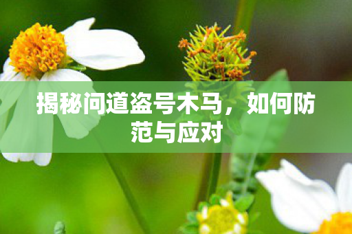 揭秘问道盗号木马，如何防范与应对
