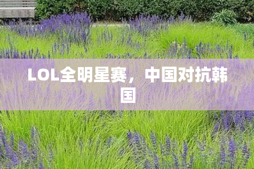 LOL全明星赛,中国对抗韩国 LOL全明星赛,中国对抗韩国