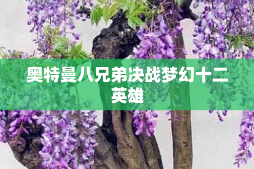 奥特曼八兄弟决战梦幻十二英雄 奥特曼八兄弟决战梦幻十二英雄