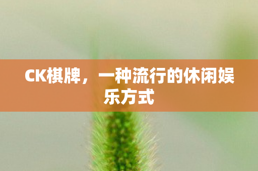 CK棋牌,一种流行的休闲娱乐方式 CK棋牌,一种流行的休闲娱乐方式