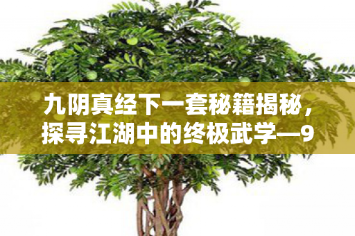 九阴真经下一套秘籍揭秘,探寻江湖中的终极武学—99级秘典 九阴真经下一套秘籍揭秘,探寻江湖中的终极武学—99级秘典