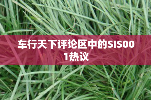 车行天下评论区中的SIS001热议