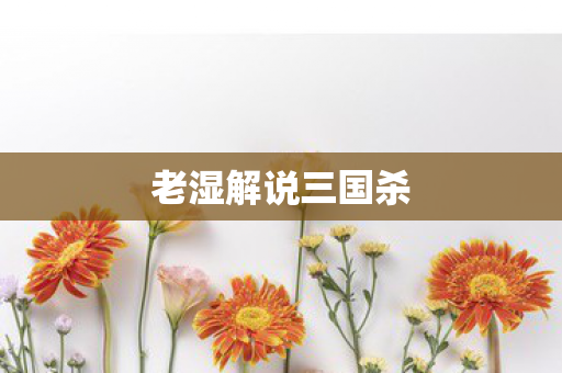 老湿解说三国杀 老湿解说三国杀