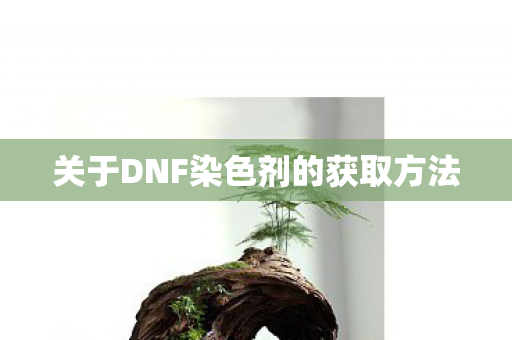 关于DNF染色剂的获取方法 关于DNF染色剂的获取方法