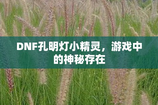 DNF孔明灯小精灵,游戏中的神秘存在 DNF孔明灯小精灵,游戏中的神秘存在