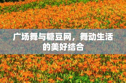 广场舞与糖豆网,舞动生活的美好结合 广场舞与糖豆网,舞动生活的美好结合