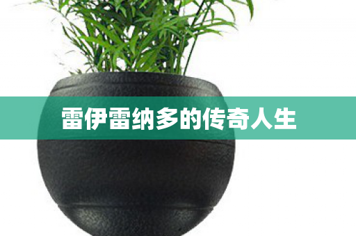 雷伊雷纳多的传奇人生 雷伊雷纳多的传奇人生