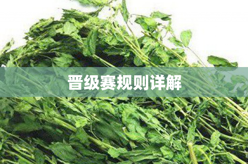 晋级赛规则详解 晋级赛规则详解