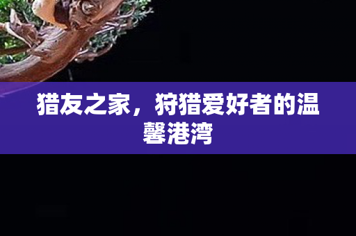 猎友之家,狩猎爱好者的温馨港湾 猎友之家,狩猎爱好者的温馨港湾