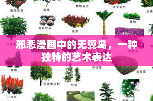 邪恶漫画中的无翼鸟，一种独特的艺术表达