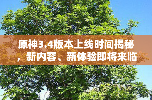原神3.4版本上线时间揭秘,新内容、新体验即将来临 原神3.4版本上线时间揭秘,新内容、新体验即将来临