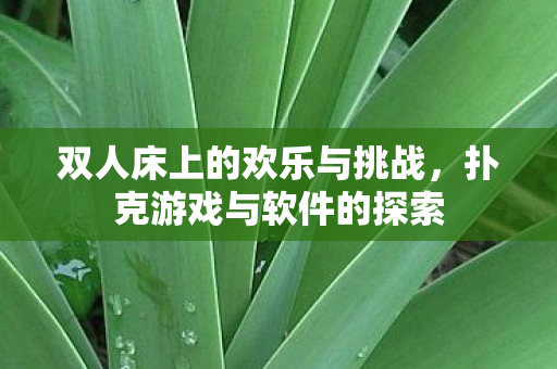 双人床上的欢乐与挑战,扑克游戏与软件的探索 双人床上的欢乐与挑战,扑克游戏与软件的探索