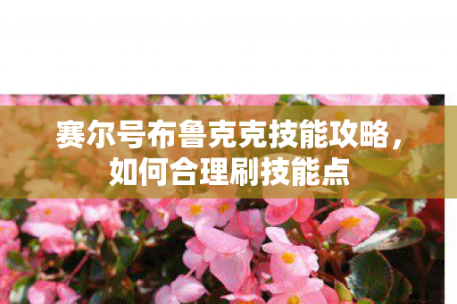 赛尔号布鲁克克技能攻略,如何合理刷技能点 赛尔号布鲁克克技能攻略,如何合理刷技能点