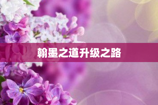 翰墨之道升级之路