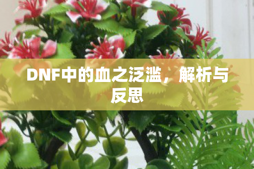 DNF中的血之泛滥，解析与反思