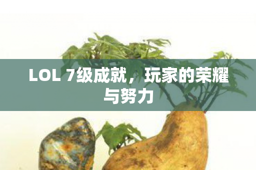 LOL 7级成就，玩家的荣耀与努力