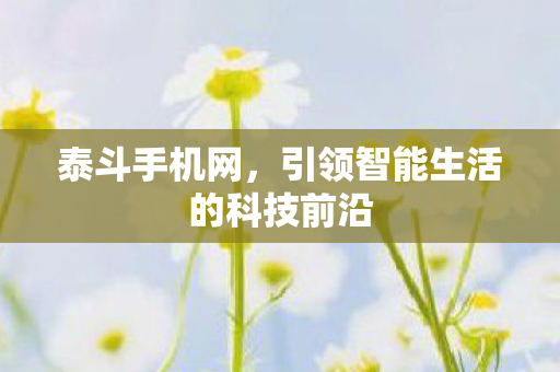 泰斗手机网,引领智能生活的科技前沿 泰斗手机网,引领智能生活的科技前沿