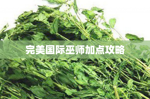 完美国际巫师加点攻略 完美国际巫师加点攻略