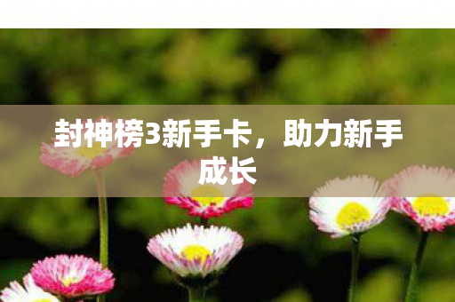 封神榜3新手卡,助力新手成长 封神榜3新手卡,助力新手成长