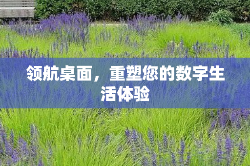 领航桌面,重塑您的数字生活体验 领航桌面,重塑您的数字生活体验