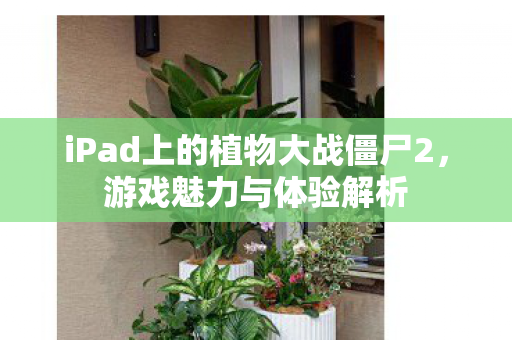 iPad上的植物大战僵尸2，游戏魅力与体验解析
