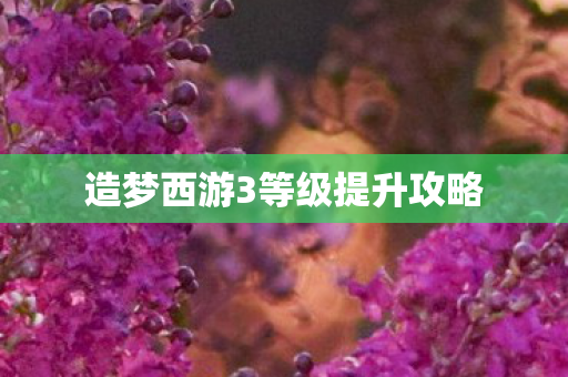 造梦西游3等级提升攻略 造梦西游3等级提升攻略