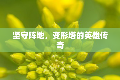 坚守阵地,变形塔的英雄传奇 坚守阵地,变形塔的英雄传奇