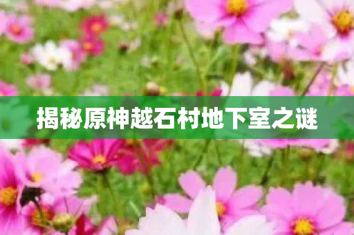 揭秘原神越石村地下室之谜 揭秘原神越石村地下室之谜