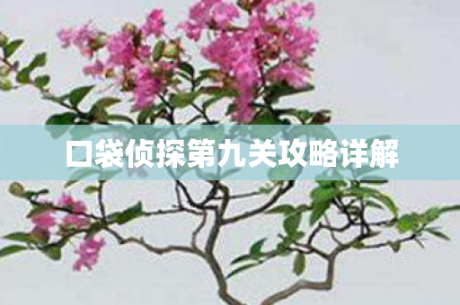 口袋侦探第九关攻略详解