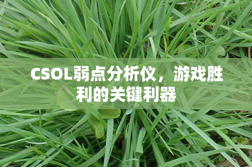 CSOL弱点分析仪，游戏胜利的关键利器