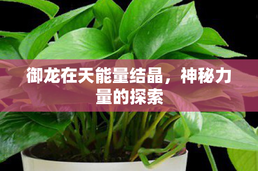 御龙在天能量结晶,神秘力量的探索 御龙在天能量结晶,神秘力量的探索