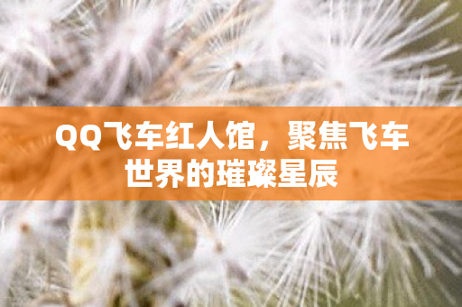QQ飞车红人馆,聚焦飞车世界的璀璨星辰 QQ飞车红人馆,聚焦飞车世界的璀璨星辰