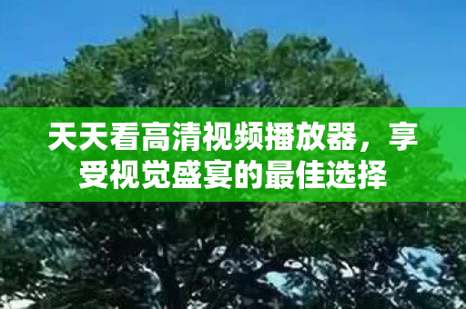 天天看高清视频播放器,享受视觉盛宴的最佳选择 天天看高清视频播放器,享受视觉盛宴的最佳选择