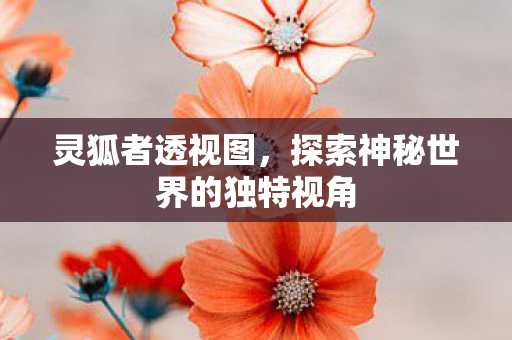 灵狐者透视图，探索神秘世界的独特视角