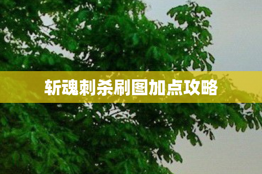 斩魂刺杀刷图加点攻略 斩魂刺杀刷图加点攻略