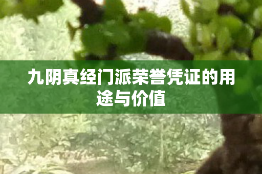 九阴真经门派荣誉凭证的用途与价值