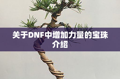 关于DNF中增加力量的宝珠介绍
