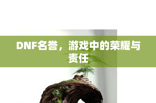 DNF名誉,游戏中的荣耀与责任 DNF名誉,游戏中的荣耀与责任
