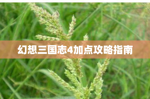 幻想三国志4加点攻略指南 幻想三国志4加点攻略指南