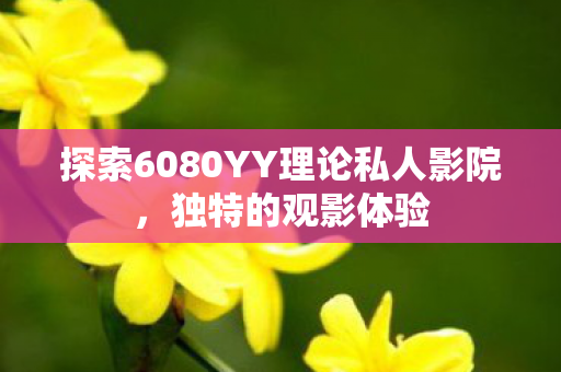 探索6080YY理论私人影院,独特的观影体验 探索6080YY理论私人影院,独特的观影体验