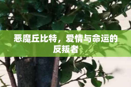 恶魔丘比特,爱情与命运的反叛者 恶魔丘比特,爱情与命运的反叛者