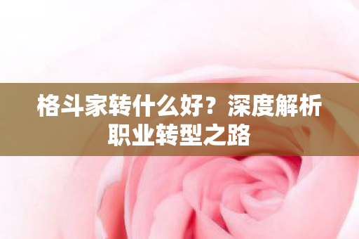 格斗家转什么好?深度解析职业转型之路 格斗家转什么好?深度解析职业转型之路