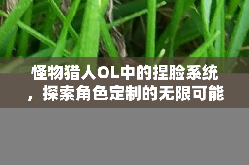 怪物猎人OL中的捏脸系统,探索角色定制的无限可能 怪物猎人OL中的捏脸系统,探索角色定制的无限可能