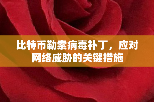 比特币勒索病毒补丁,应对网络威胁的关键措施 比特币勒索病毒补丁,应对网络威胁的关键措施