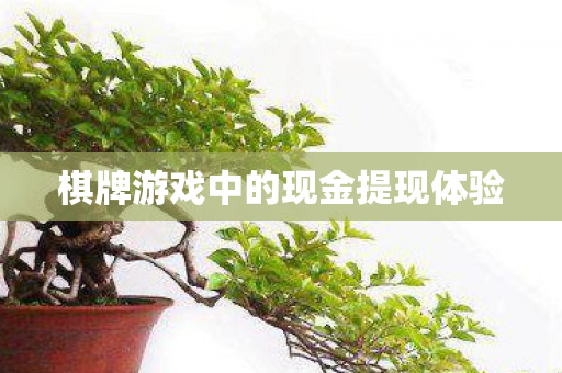 棋牌游戏中的现金提现体验 棋牌游戏中的现金提现体验