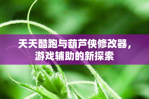 天天酷跑与葫芦侠修改器,游戏辅助的新探索 天天酷跑与葫芦侠修改器,游戏辅助的新探索