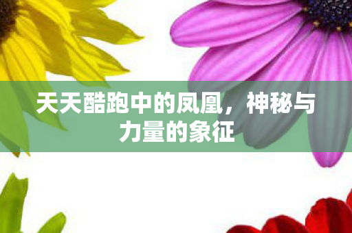 天天酷跑中的凤凰,神秘与力量的象征 天天酷跑中的凤凰,神秘与力量的象征